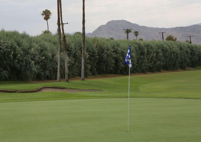 'Racist' Trees Cause Controversy In Palm Springs