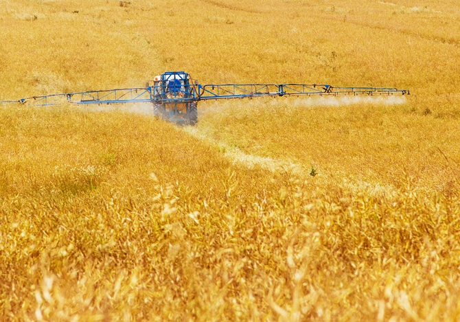 US Food Companies Demand That EPA Take Action to Stop Spraying of Glyphosate on Foods Just Before Harvesting