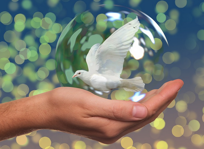 Poll: The Majority of Americans Reject Action Leading to a New War with Iran as Only 24% Want a Military Response