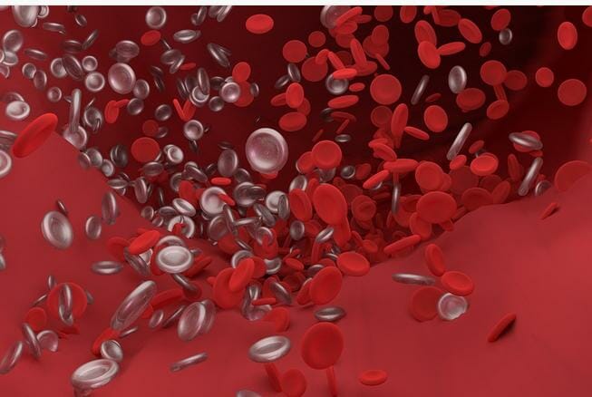 9 European Countries Halt  Oxford/ AstraZeneca COVID Vaccine Due to Fears over Blood Clots and Deaths