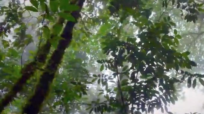 Screen Shot 2021-05-17 at 6.24.54 AM